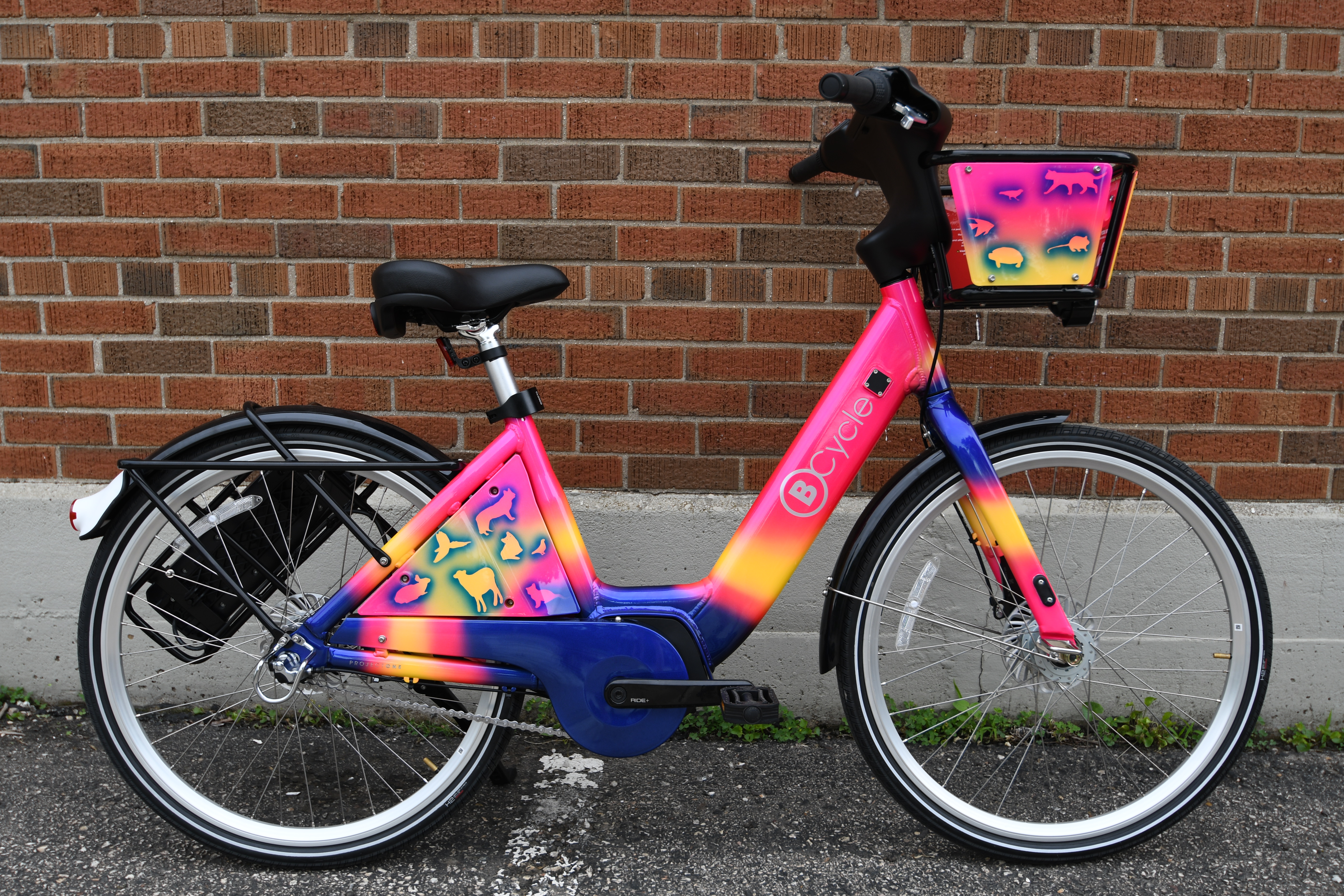 Project One Art Bike for Humane Society